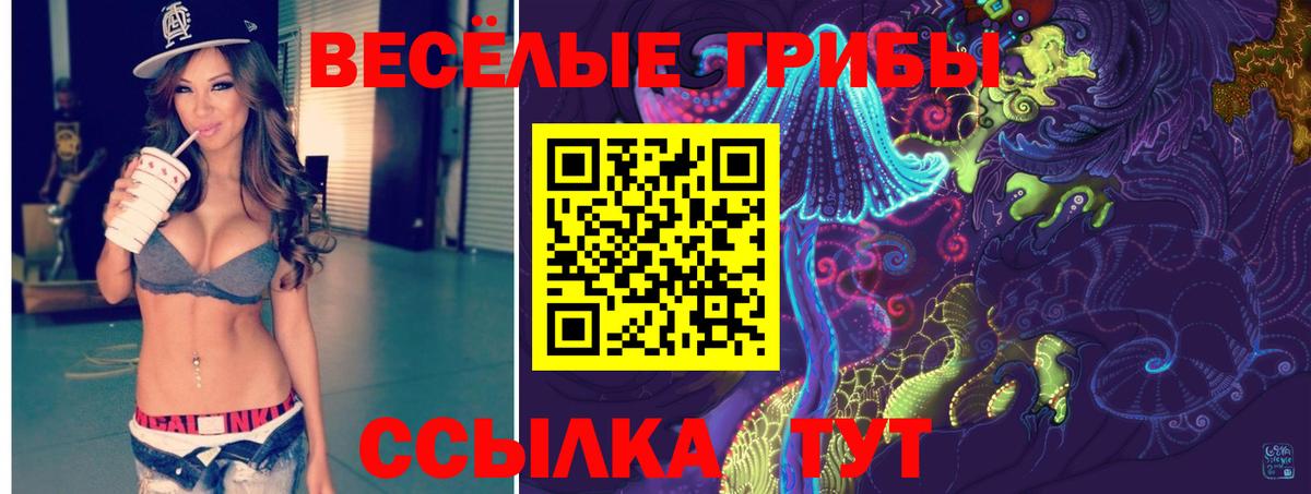Галлюциногенные грибы Psilocybine cubensis  Вход с VPN  Вязники  Псилоцибиновые грибы Psilocybine cubensis 